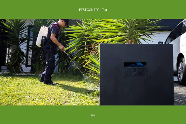 PEST CONTROL Tea